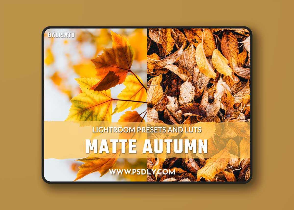 Matte Autumn LUTs and Lightroom Presets WVKGW55