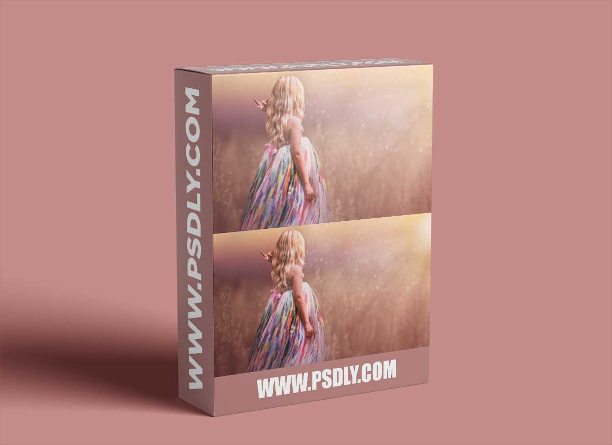 Meg Bitton - Dream Scene – The Wheat Field