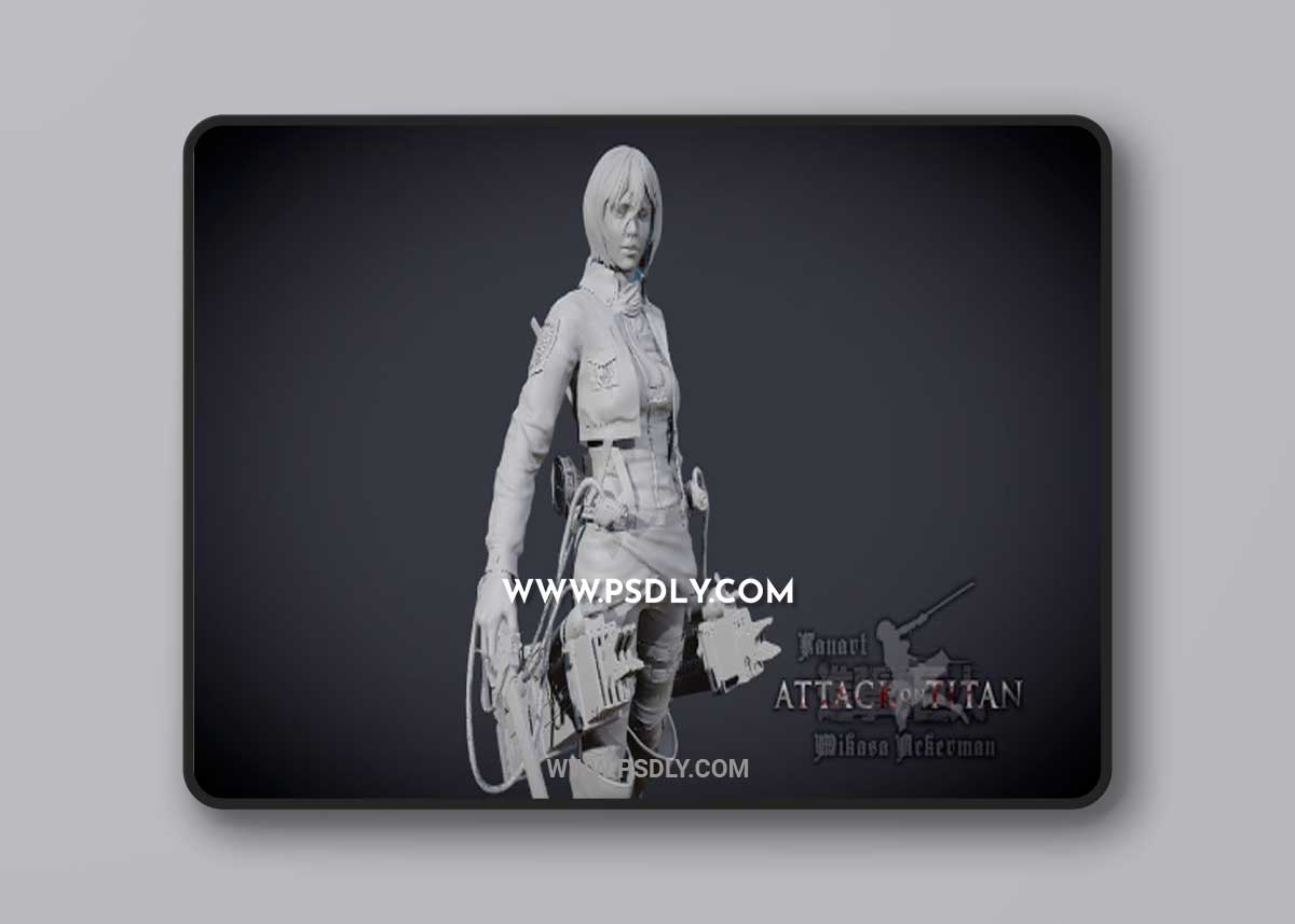 Mikasa Ackerman 3D Print Model