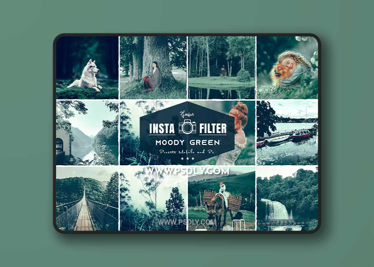 Moody Green Cinematic Lightroom Presets U8J35YA