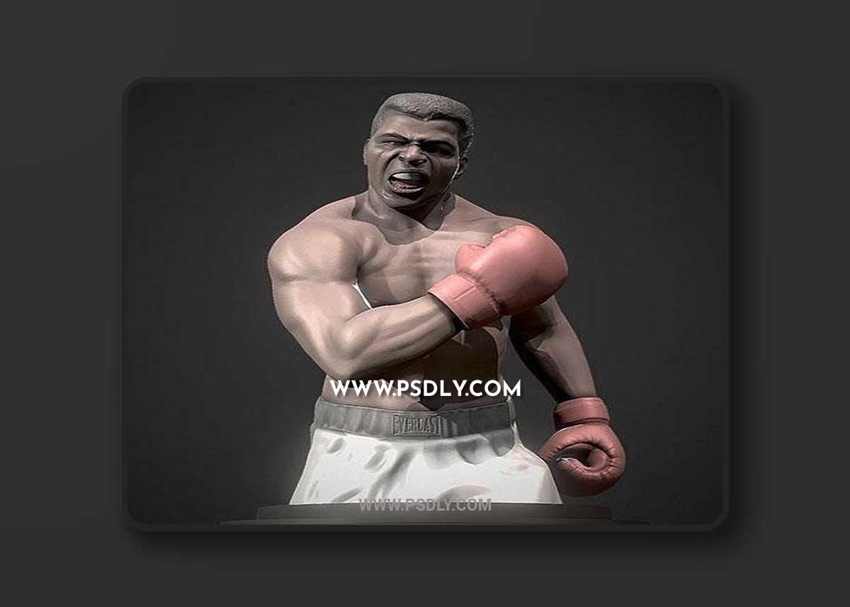 Muhammad Ali Bust 3D Print Model