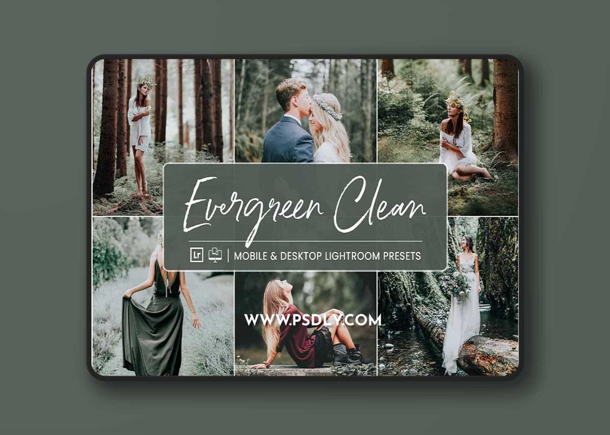 NesPresets - Evergreen Clean