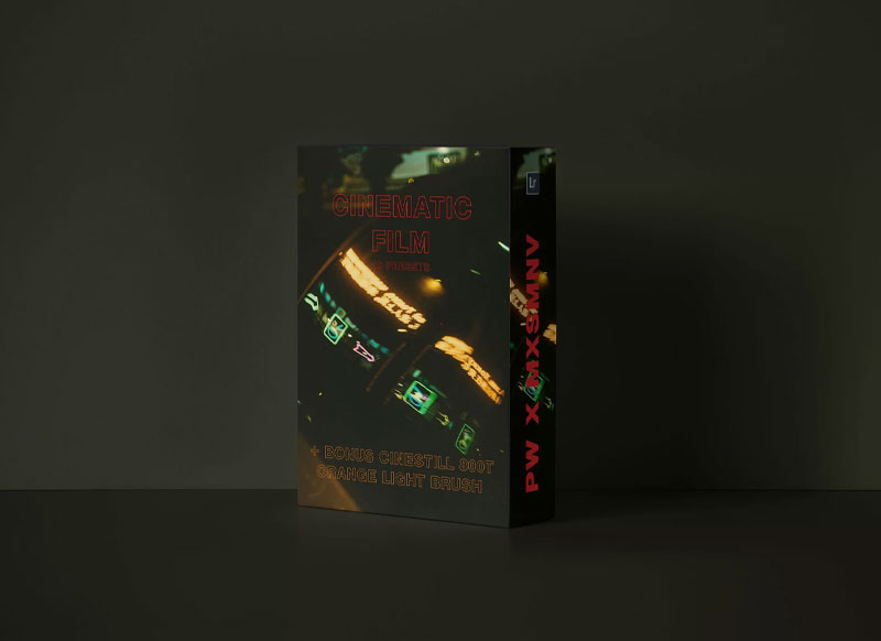 Polina Washington PWxMXSMNV Preset Pack