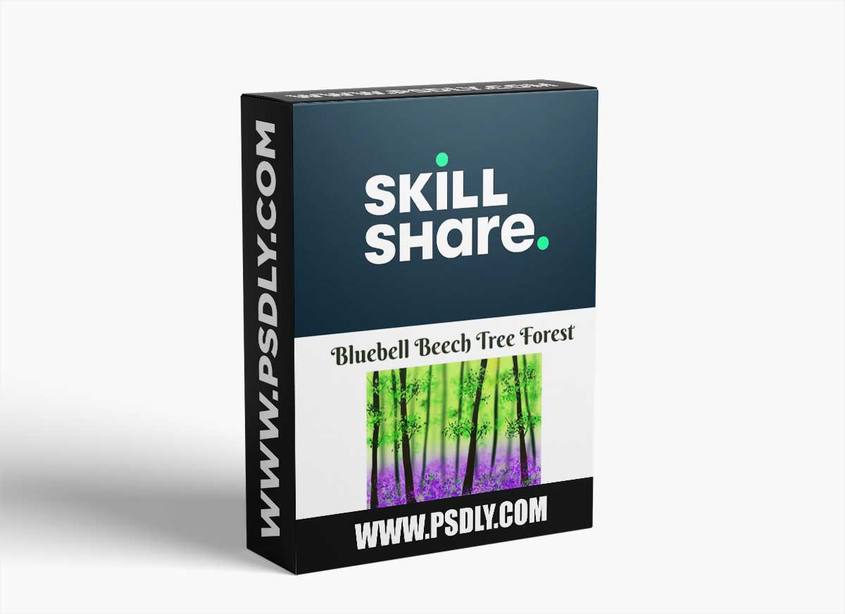 Procreate Landscape - Bluebell Beech Tree Forest