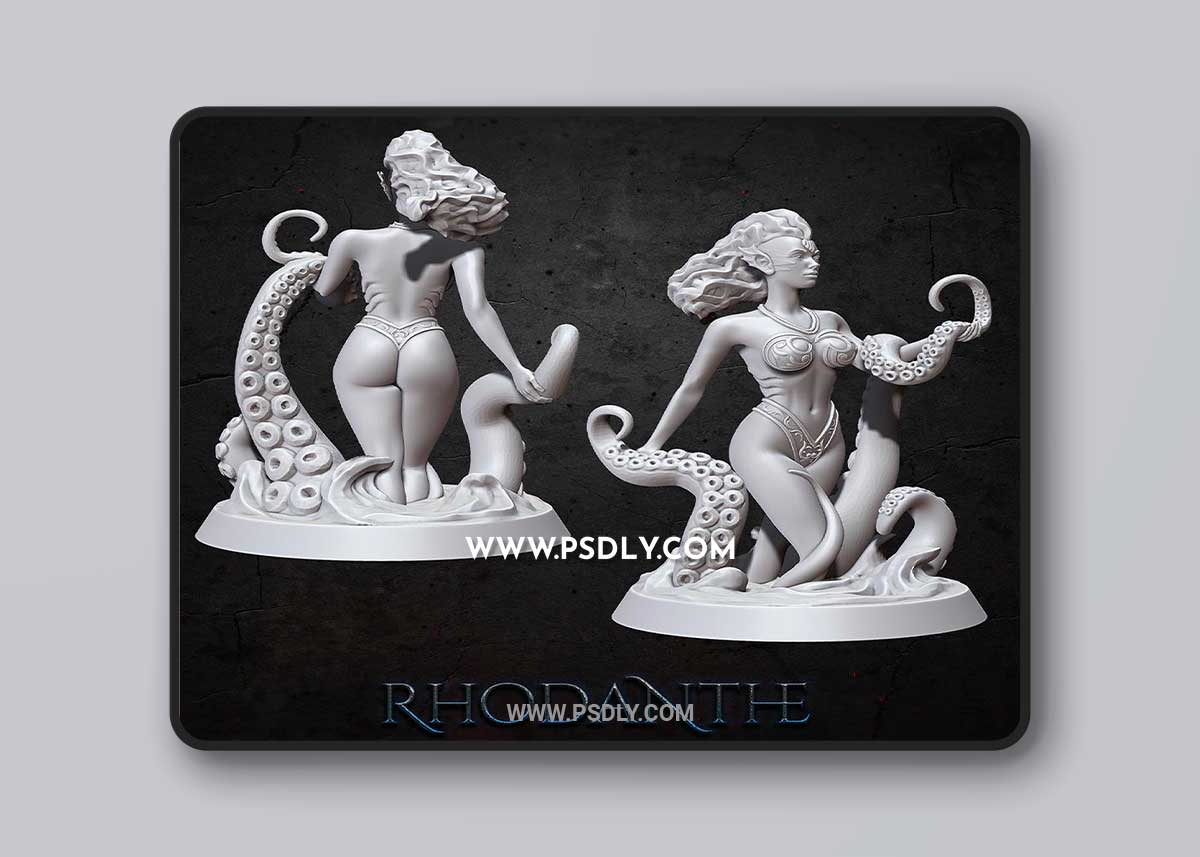 Rhodanthe topless 3D Model