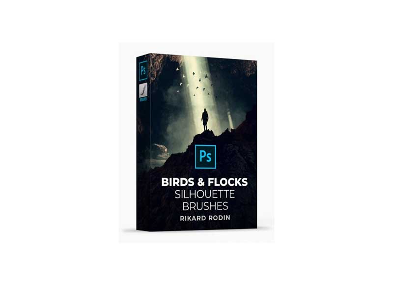 Rikard Rodin - Nucly Birds and Flocks - Photoshop Brushes