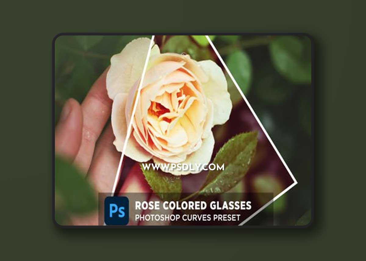 Rose Colored Glasses - Photoshop Curves Presets