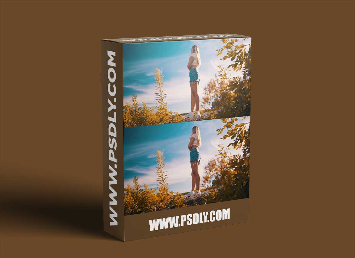 SANDFIELD LUTs By Daniel Schiffer