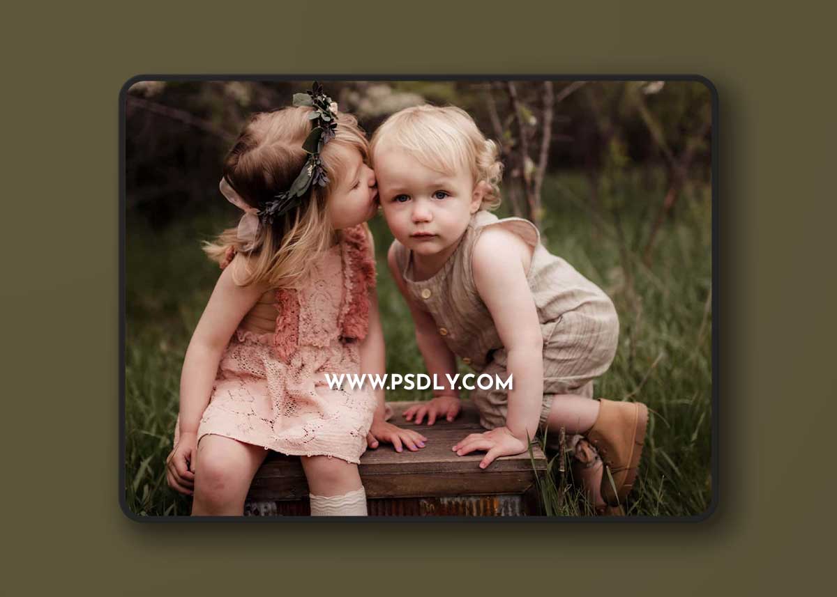 Twig & Olive - Lightroom and ACR Presets | Fernweh North