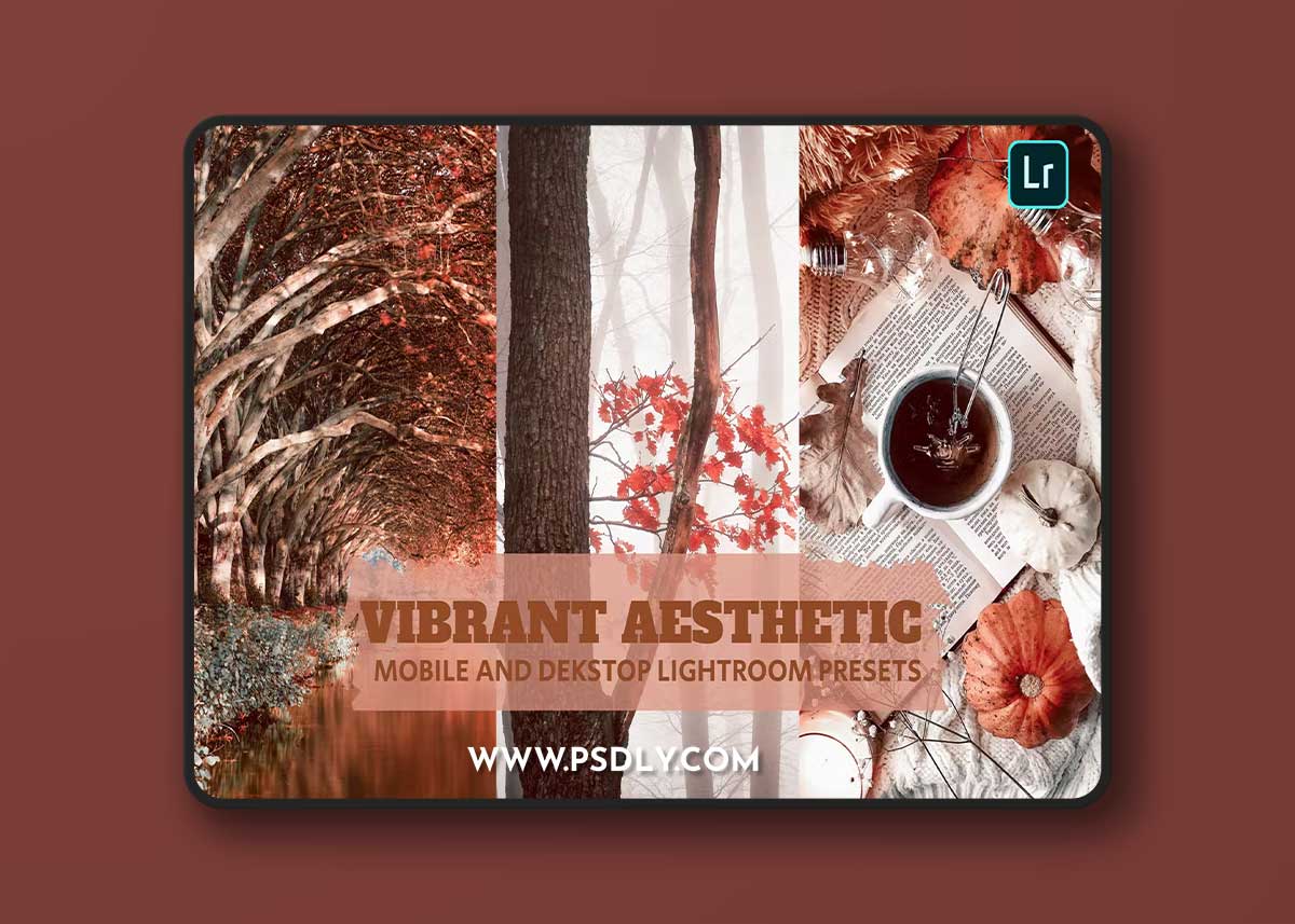 Vibrant Aesthetic Lightroom Presets Dekstop Mobile
