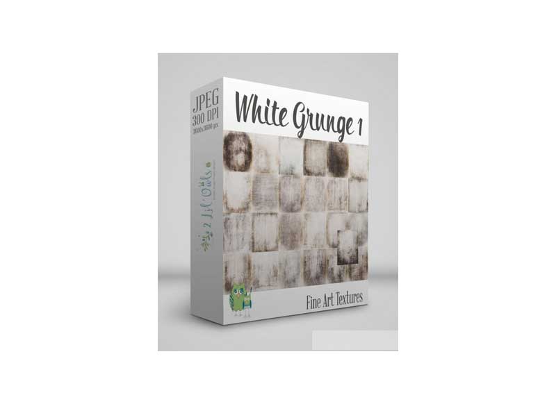 White Grunge 1 Fine Art Textures