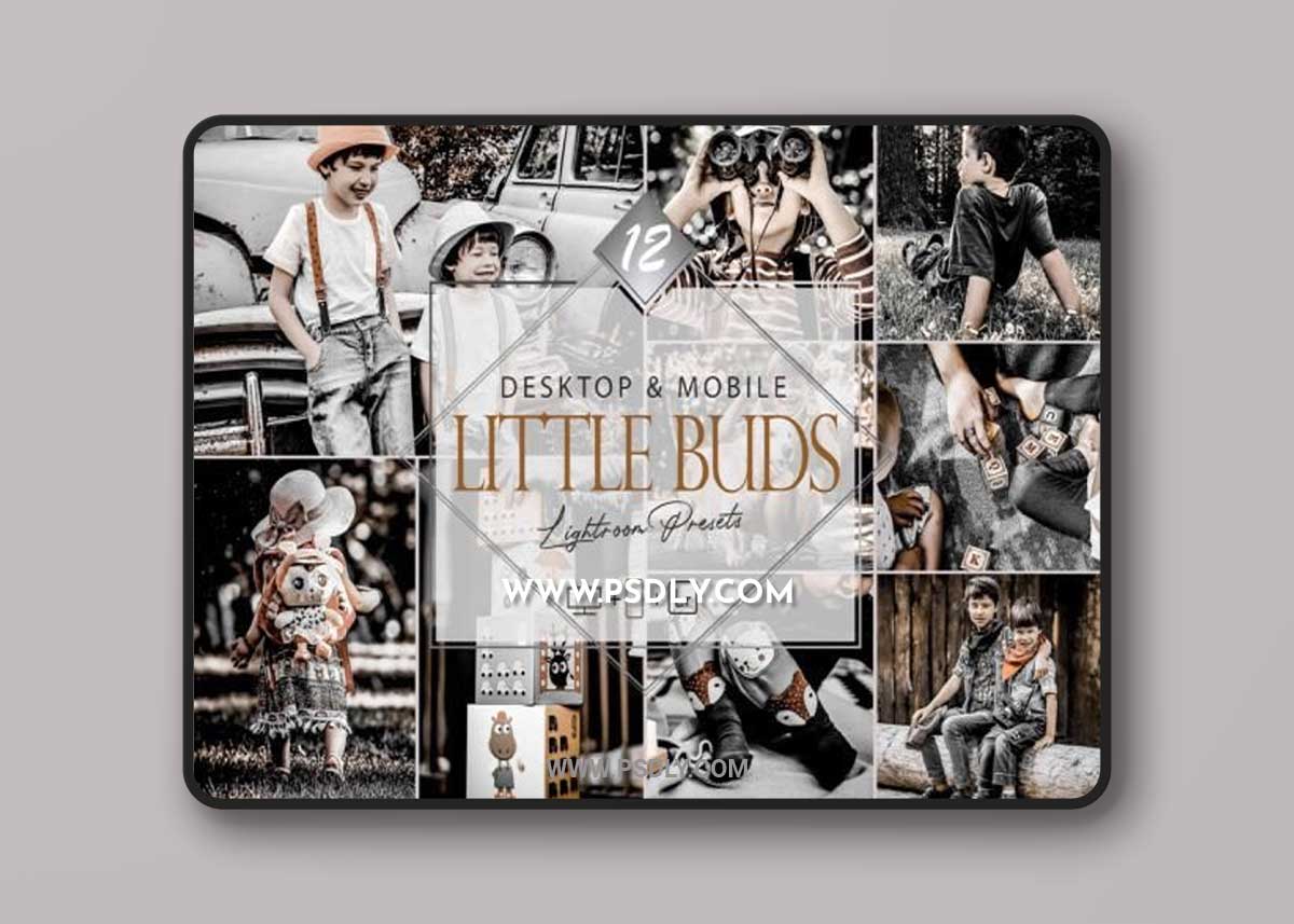 12 Little Buds Lightroom Presets, Moody