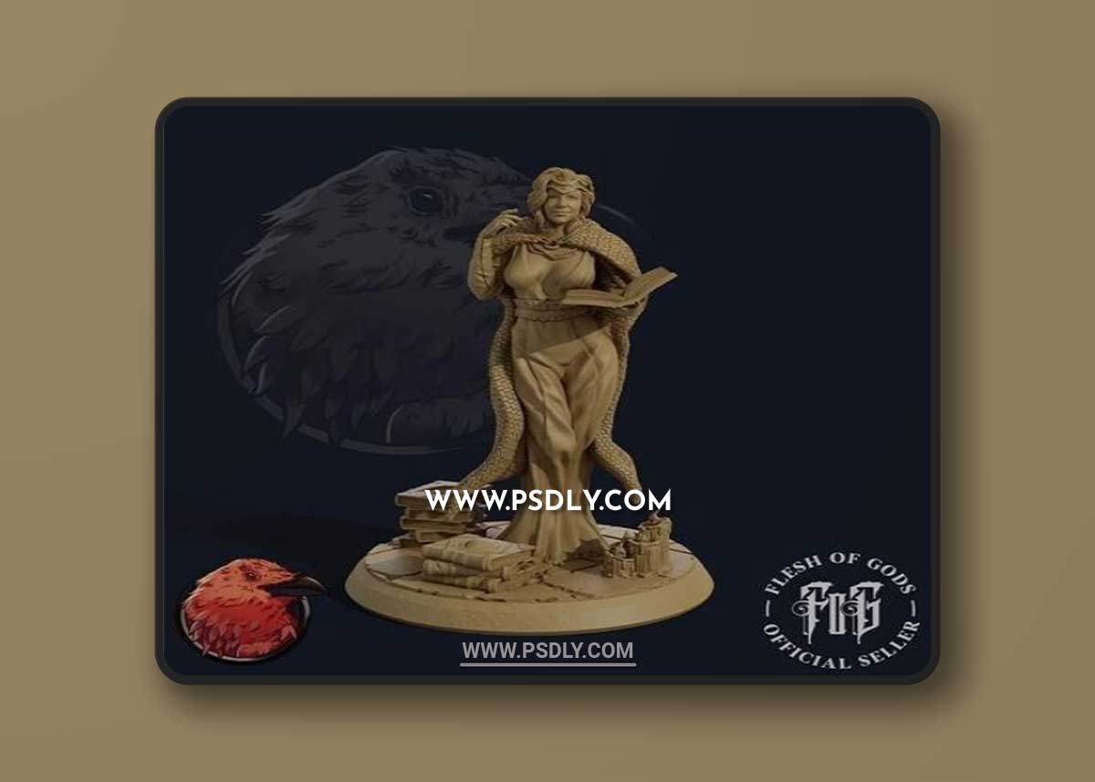 3D STL Liss the Wizard 3D Model
