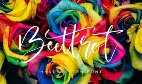 Beettrot Script Font