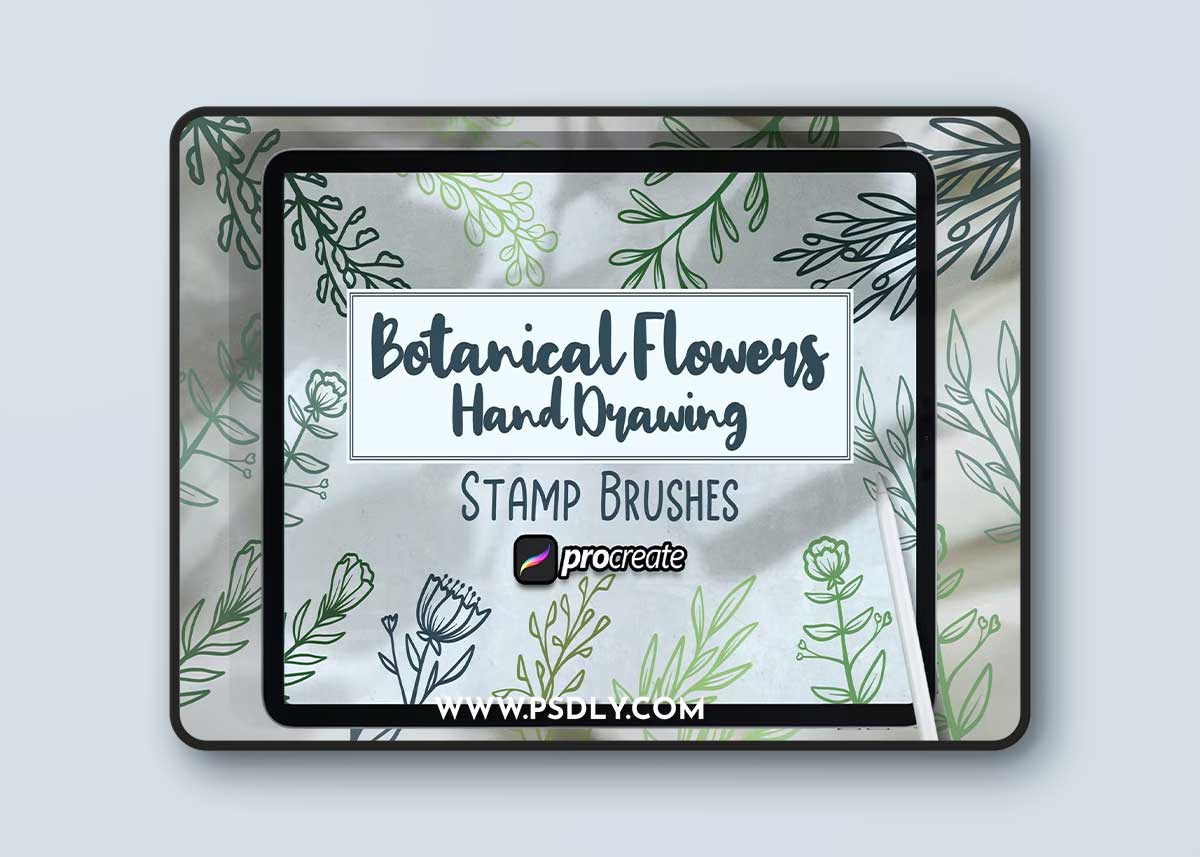 Botanical Flowers Hand Drawing Brush Stamp DWXSQEV