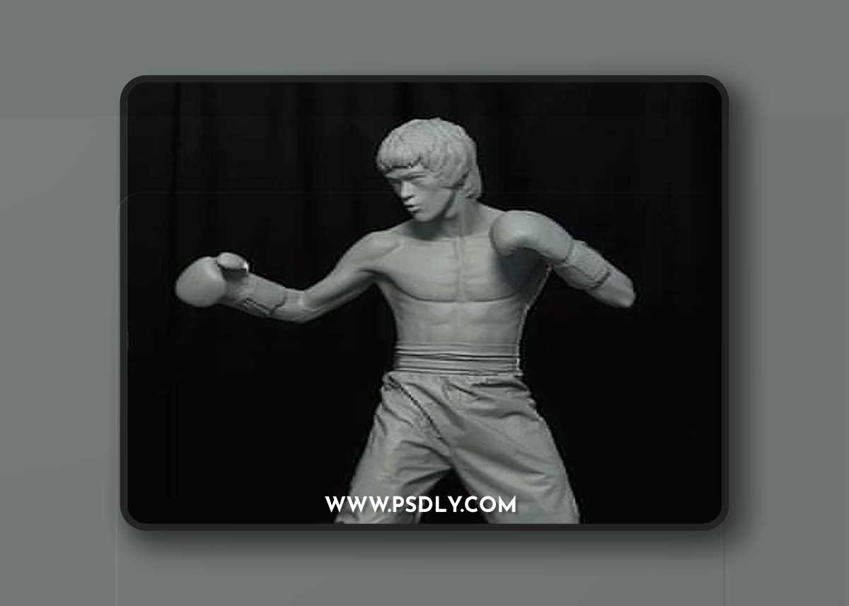 Bruce Lee and Enemy 3D Print Model