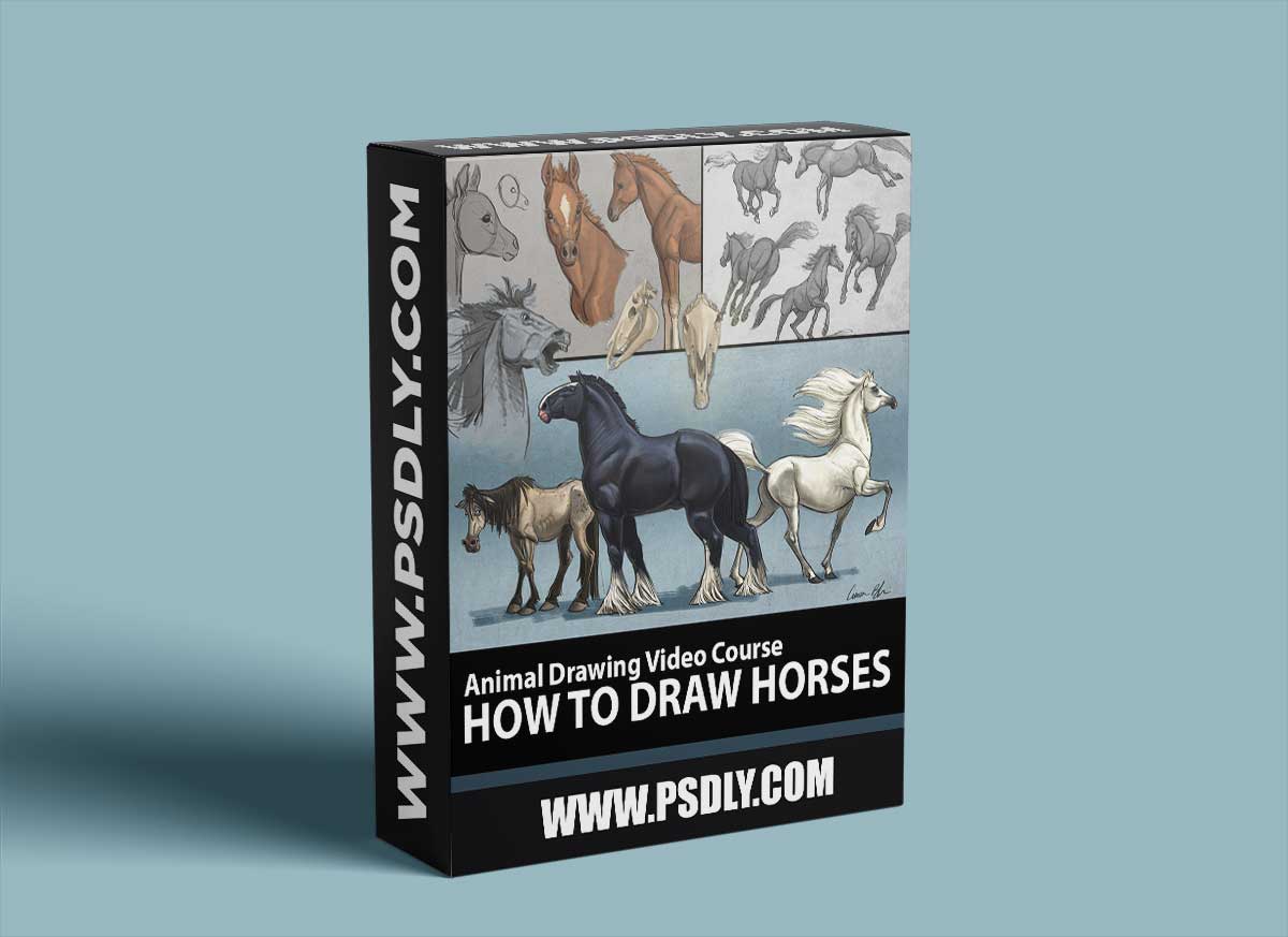 CreatureArtTeacher - How to Draw Horses with Aaron Blaise