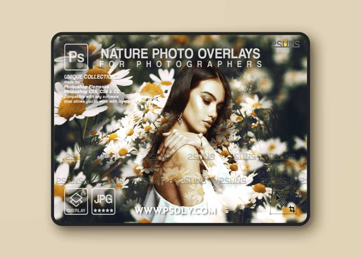 Digital Flower Backdrop, Flower Overlay