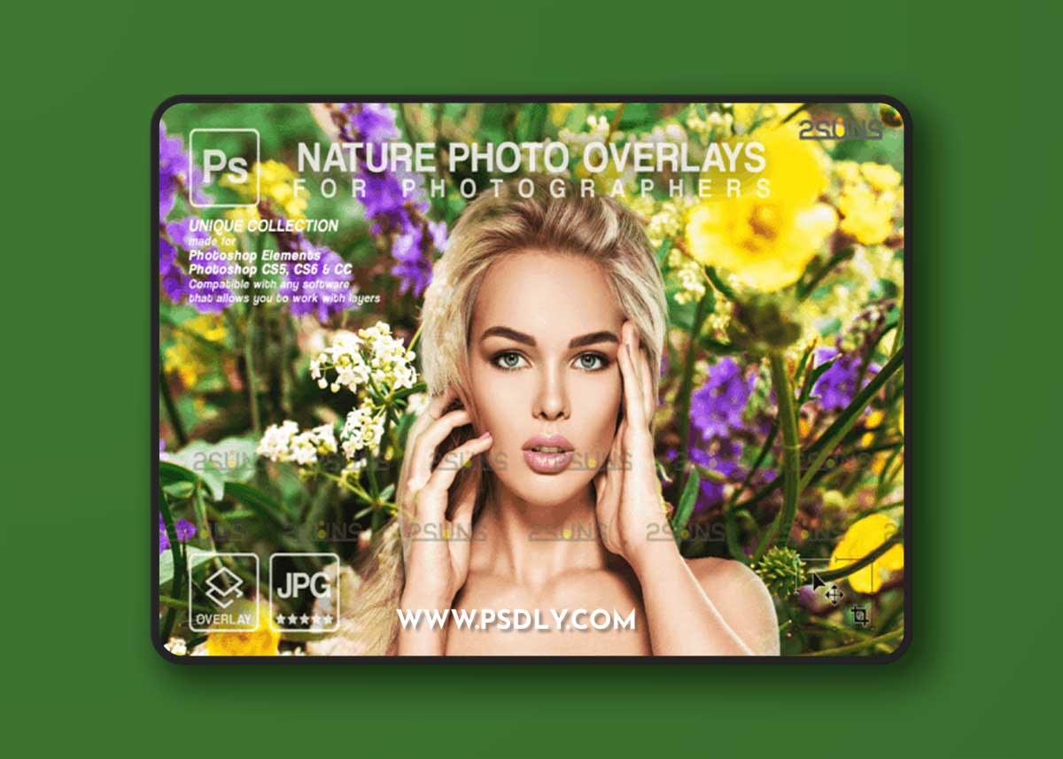 Digital Flower Backdrop, Flower Overlays