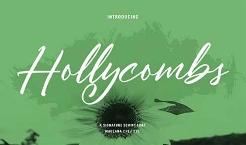 Hollycombs Script Font