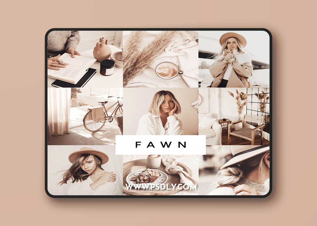 Loox - Fawn Lightroom Presets