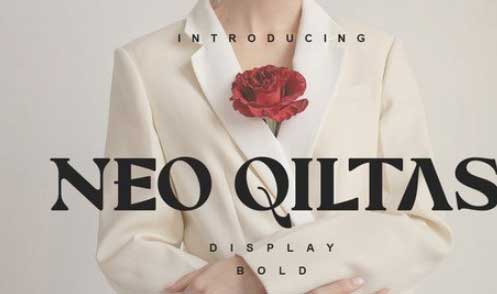 Neo Qiltas Retro Serif