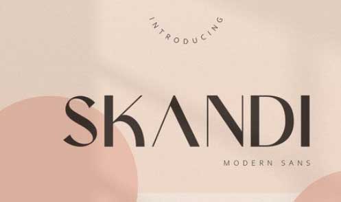 Skandi Modern Sans Serif