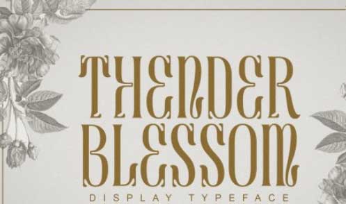 Thender blessom Font