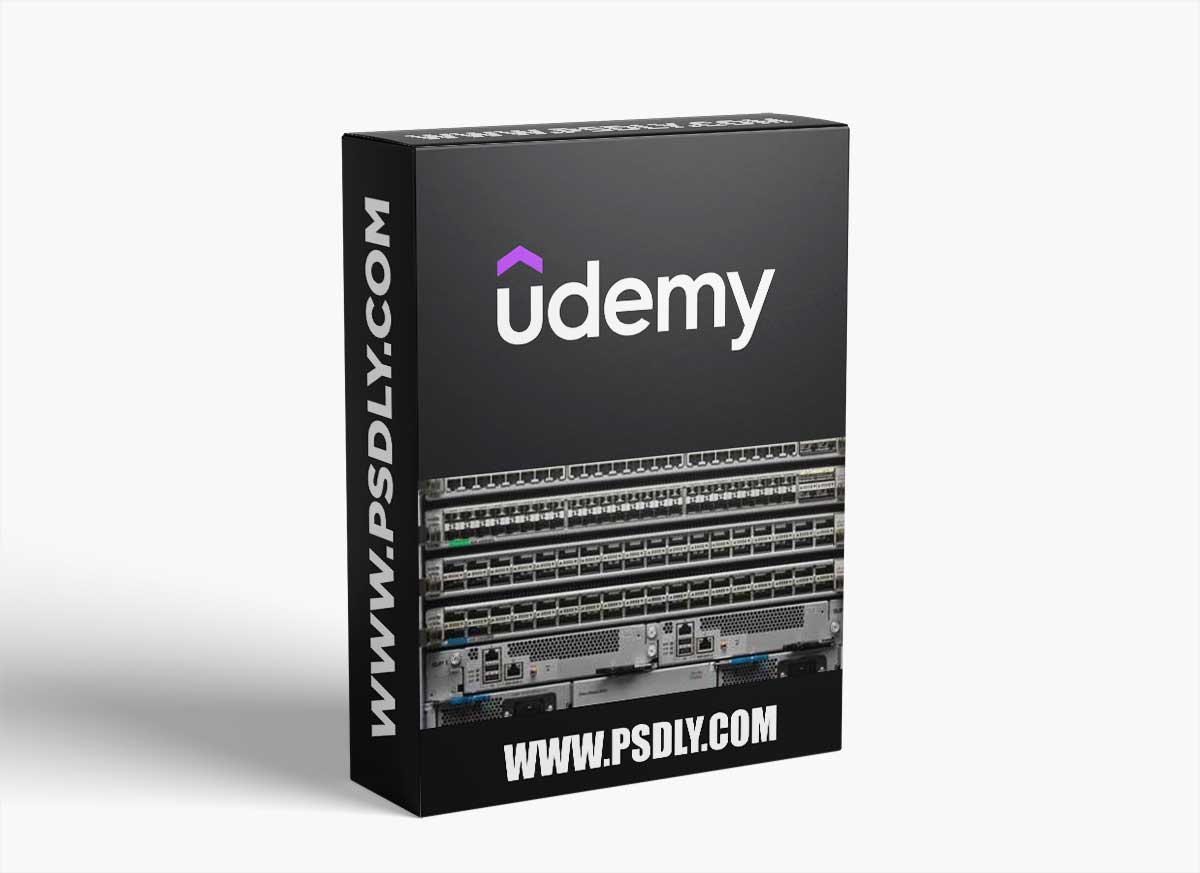 Zero to Hero Network Engineer