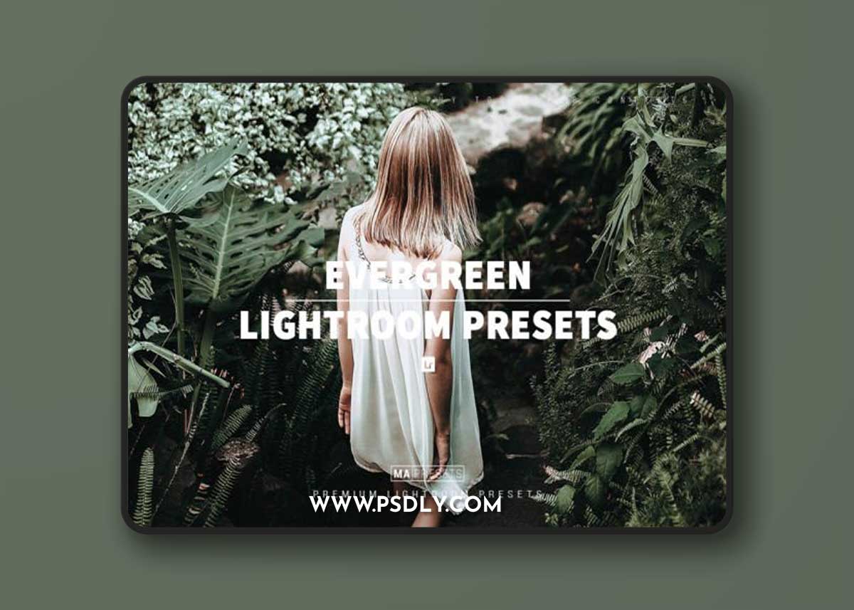 10 EVERGREEN Lightroom Presets