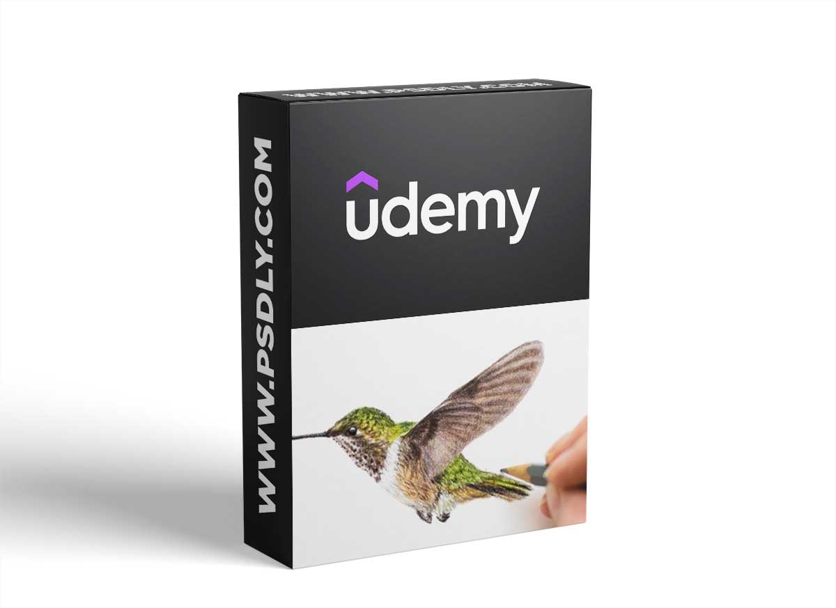 Colored Pencil Hummingbird Drawing Class