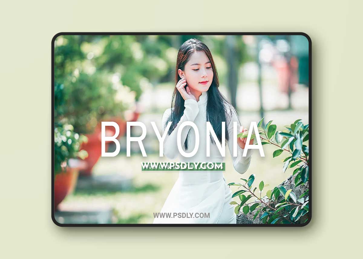 CreativeMarket - Bryonia Pro Lightroom Presets 7375229