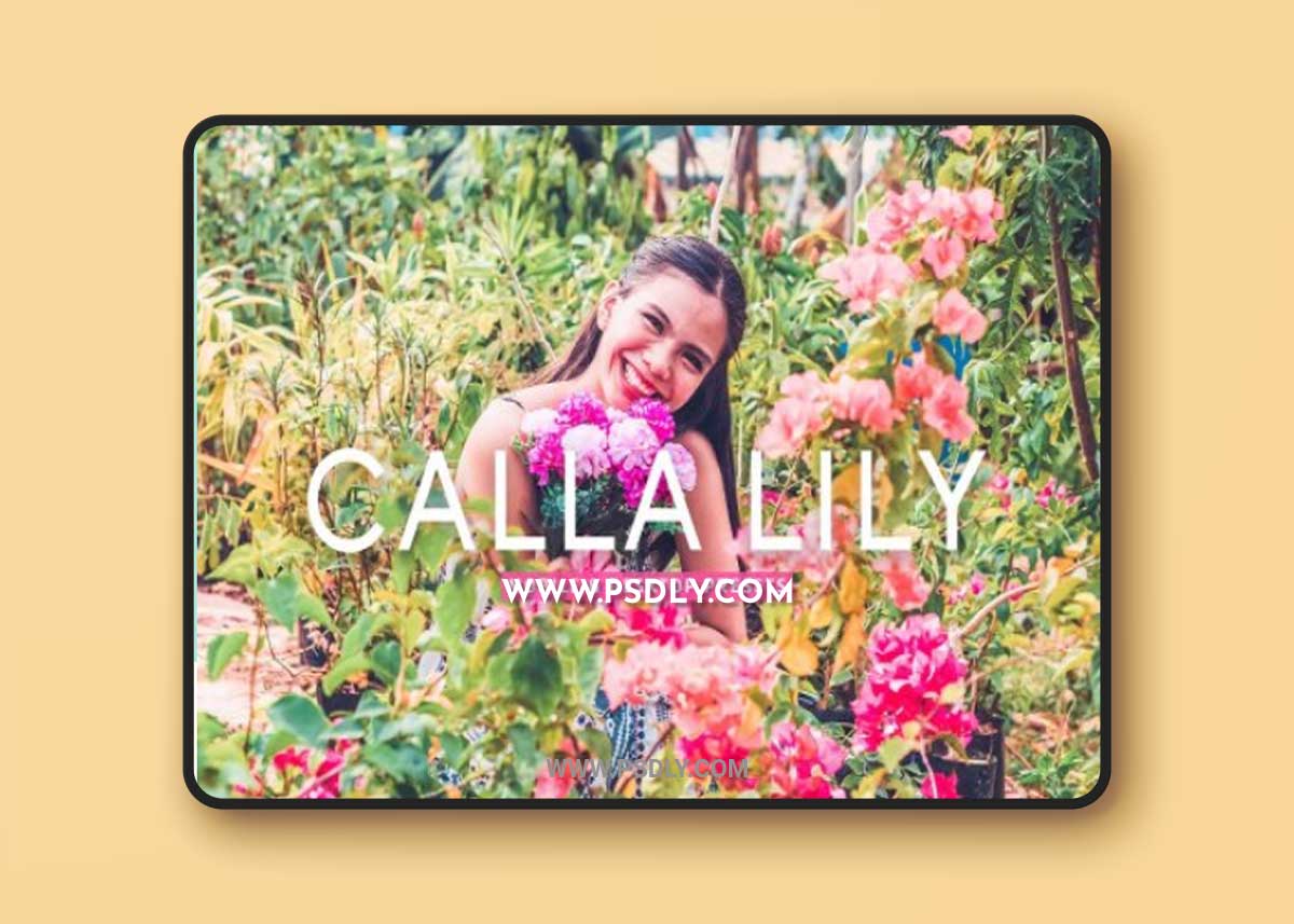 CreativeMarket - Calla Lily Pro Lightroom Presets 7375234