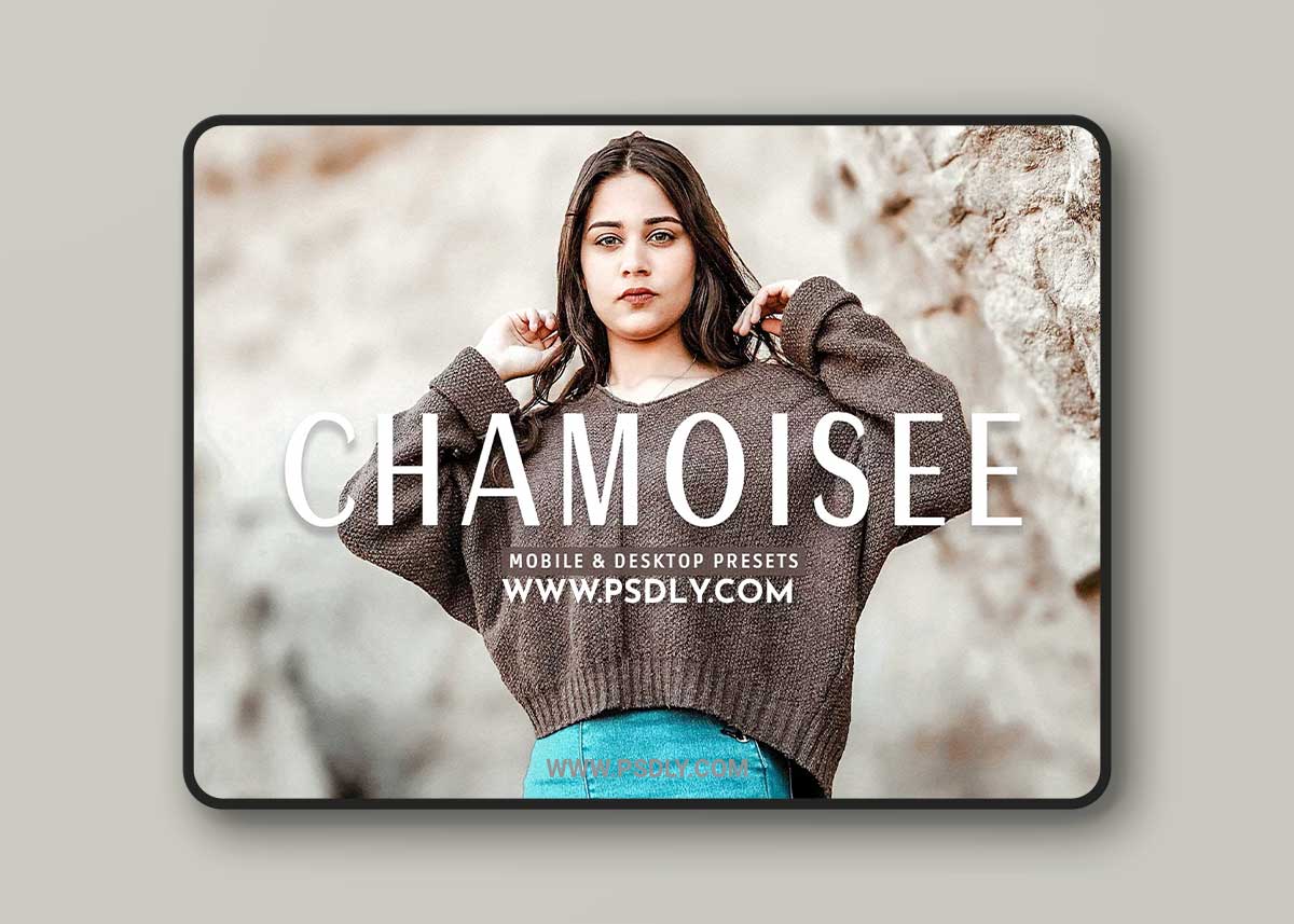 CreativeMarket - Chamoisee Pro Lightroom Presets 7375237