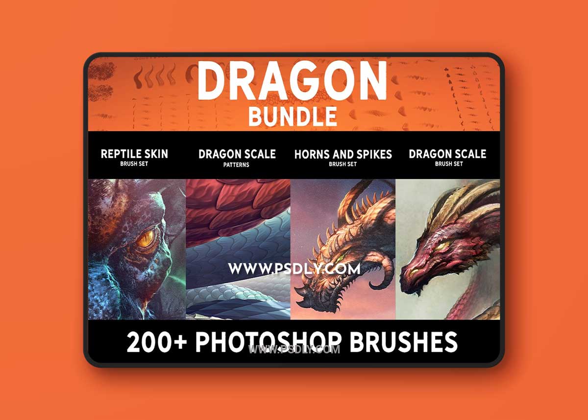 CreativeMarket - Dragon bundle 5273533