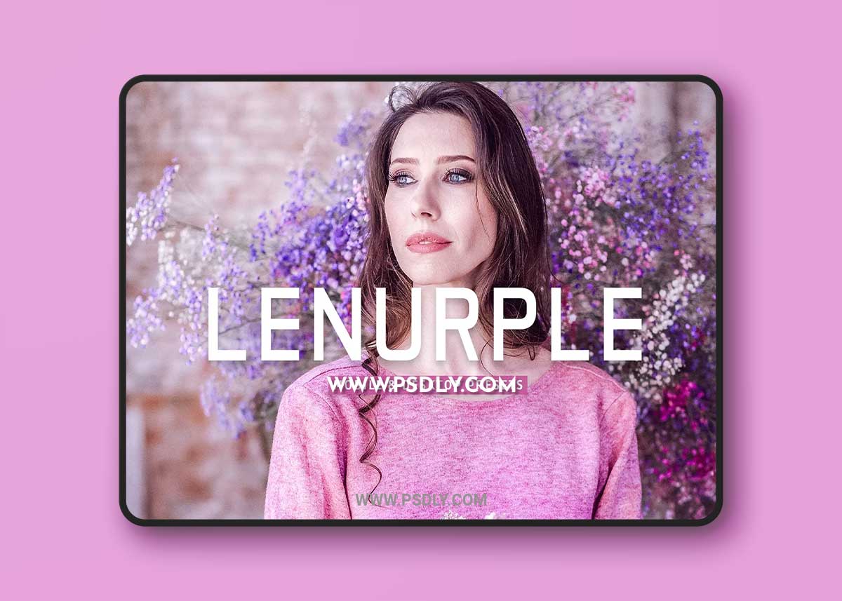 CreativeMarket - Lenurple Pro Lightroom Presets 7375257