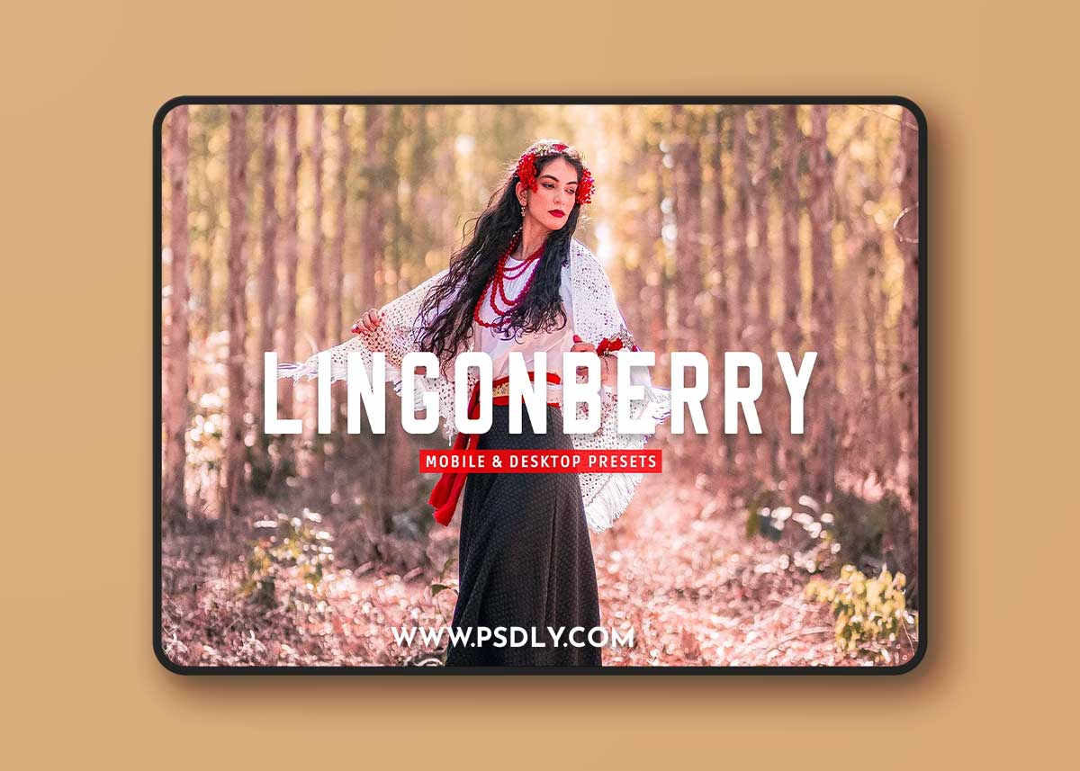 CreativeMarket - Lingonberry Pro Lightroom Presets 7403893