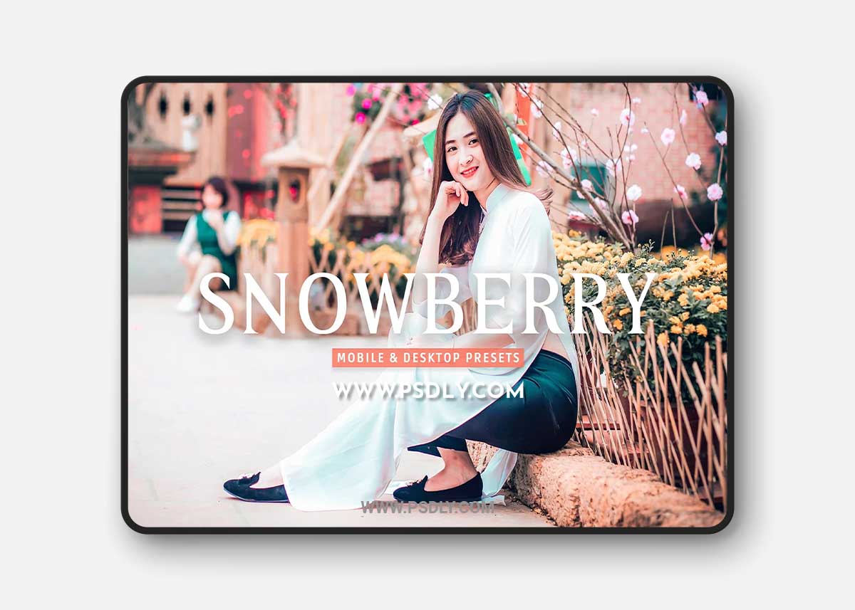 CreativeMarket - Snowberry Pro Lightroom Presets 7387227