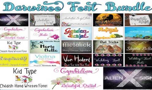 Darwinoo Font Bundle