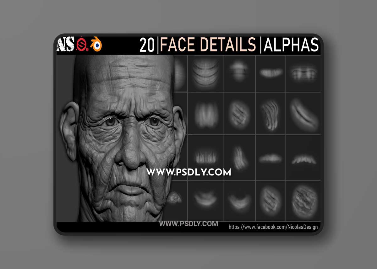 Face Details Alphas 3D Model
