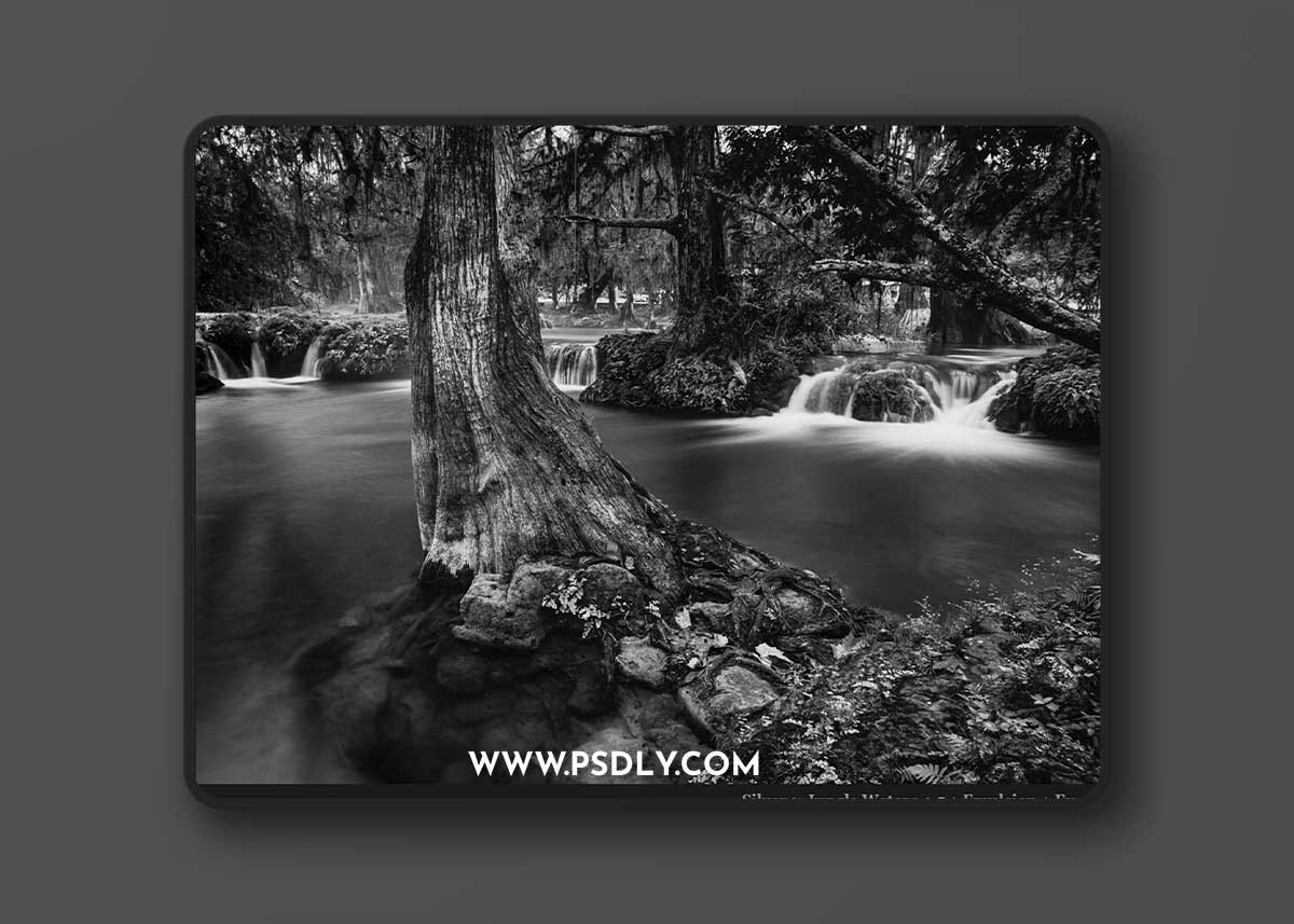 Seim Silver 4 for LR/PS/C1