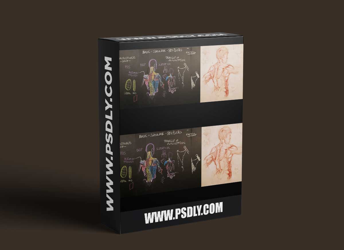 The Gnomon Workshop - Anatomy for Artists Volume 1 Understanding the Back and Shoulder Muscles