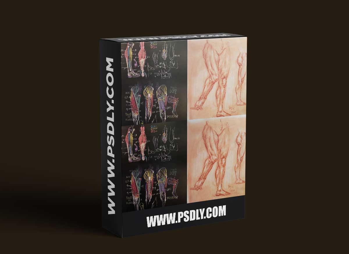 The Gnomon Workshop - Anatomy for Artists Volume 2 Understanding the Leg and Foot