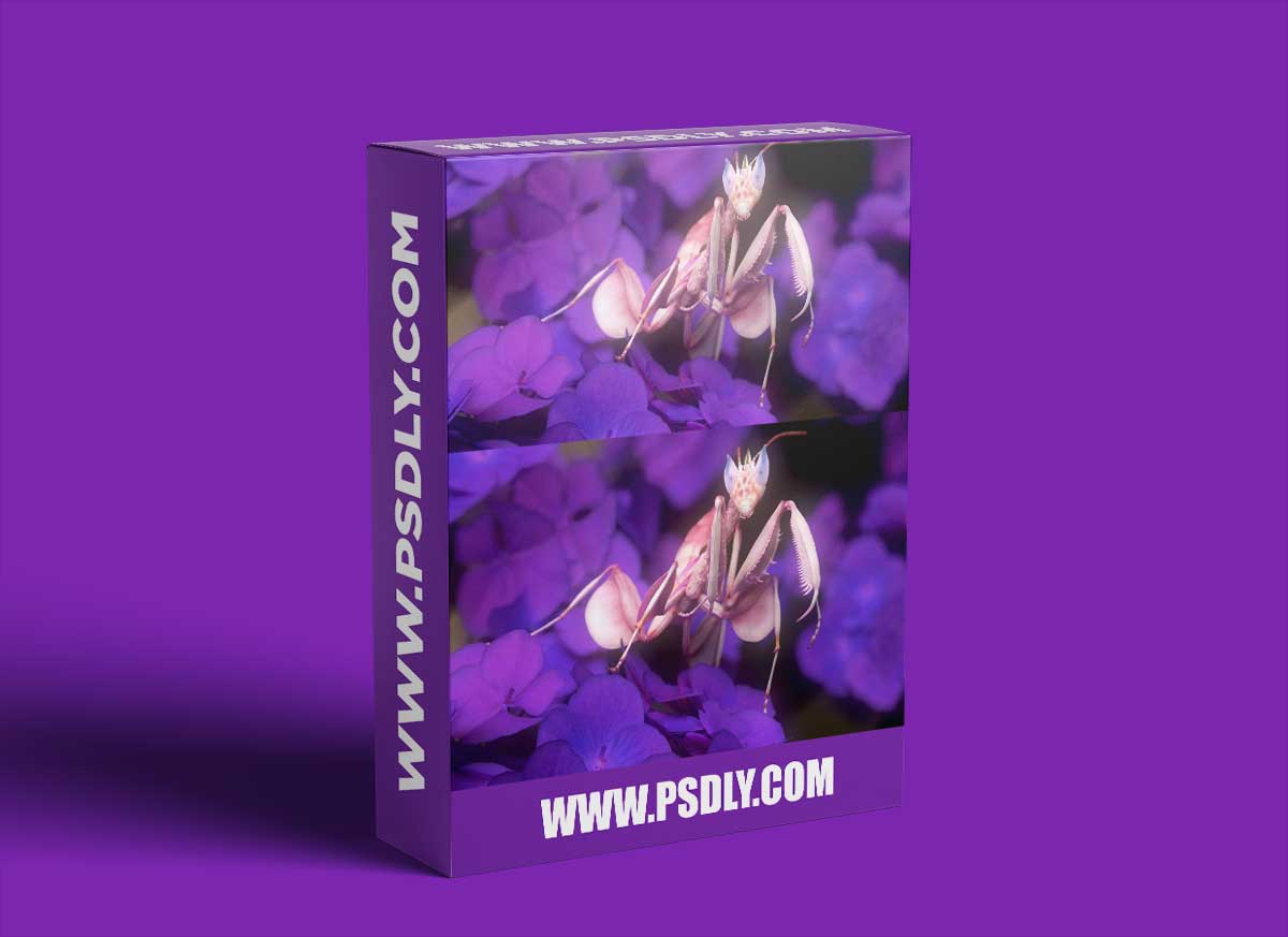 The Gnomon Workshop – Creature Modeling with Zbrush & Marmoset Toolbag