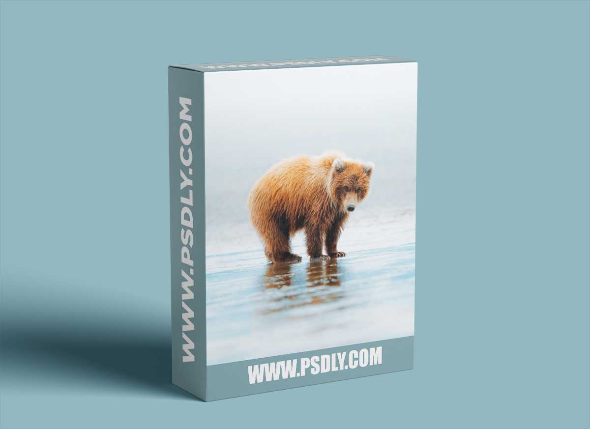 Wildist - The Wildlife Photography Workshop