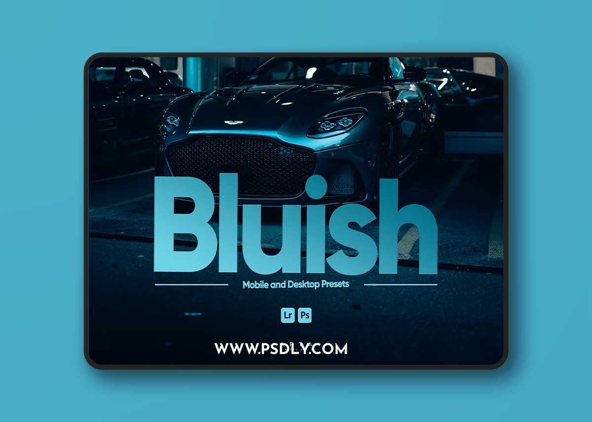 ARTA - bluish presets for lightroom