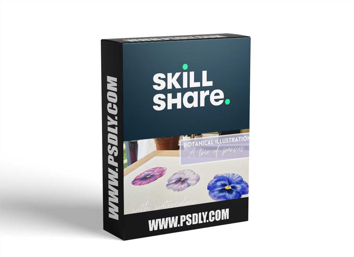 Botanical Illustration with Watercolour | A Trio of Pansies