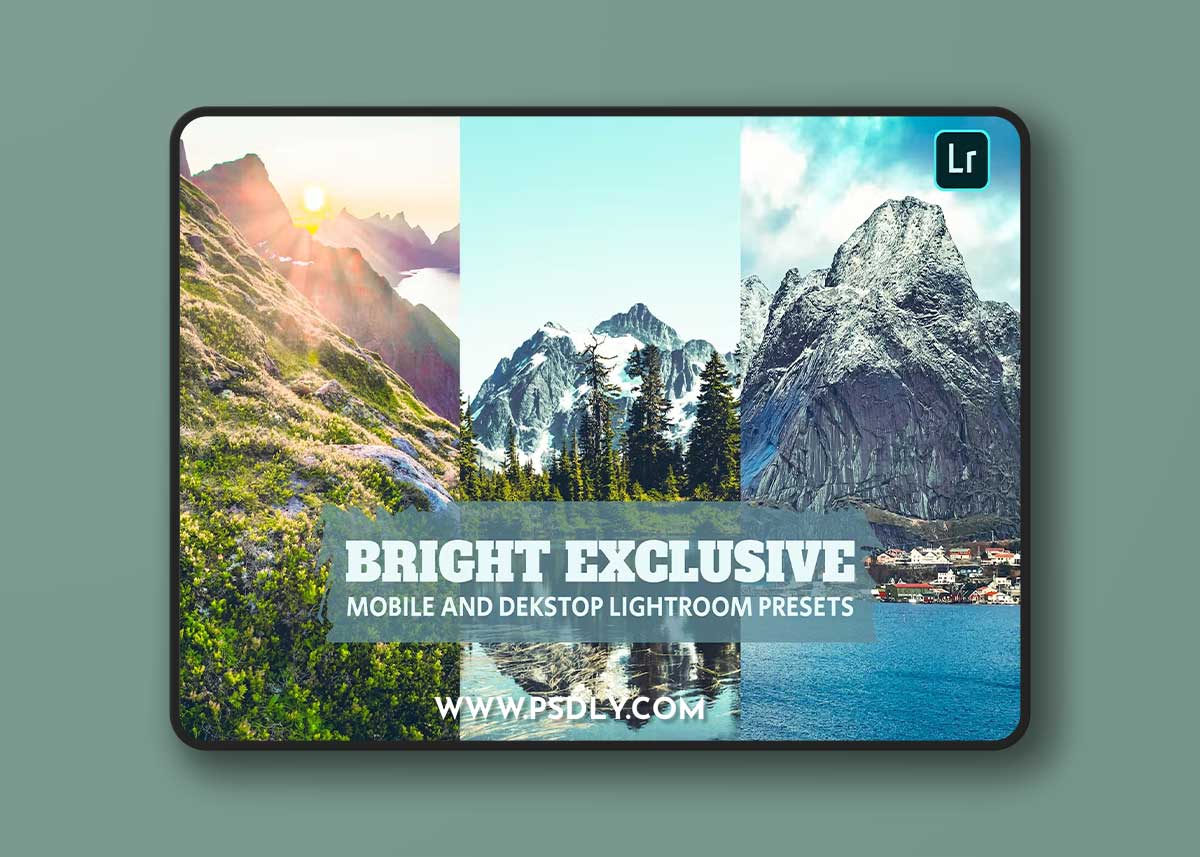 Bright Exclu Lightroom Presets Dekstop Mobile File