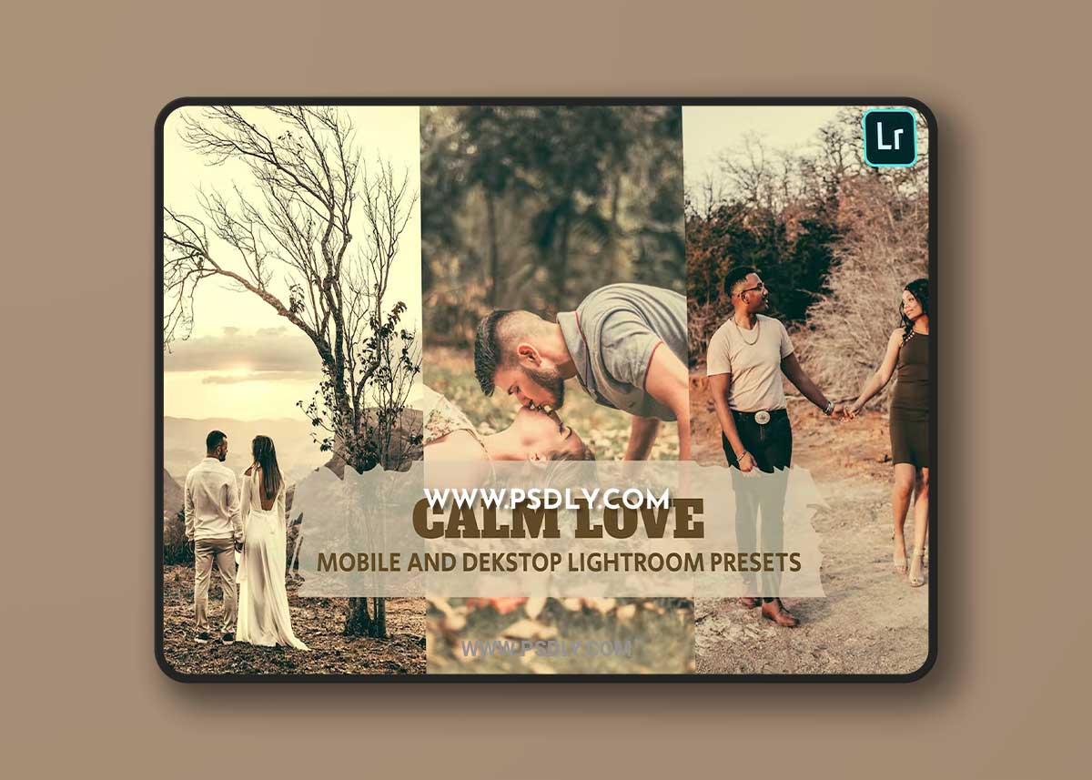 Calm Love Lightroom Presets Dekstop and Mobile DPV6JTM