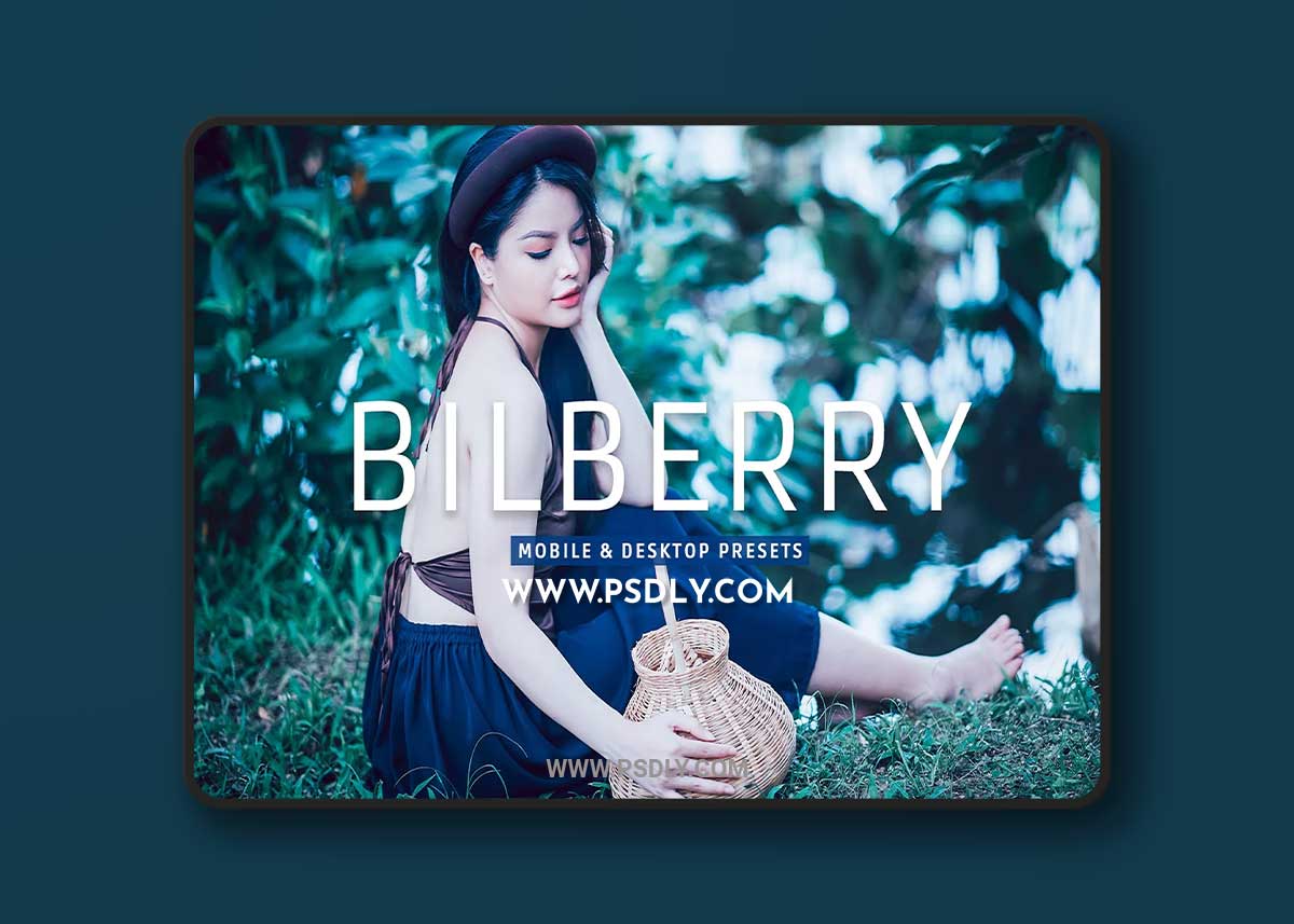 CreativeMarket - Bilberry Pro Lightroom Presets 7469776